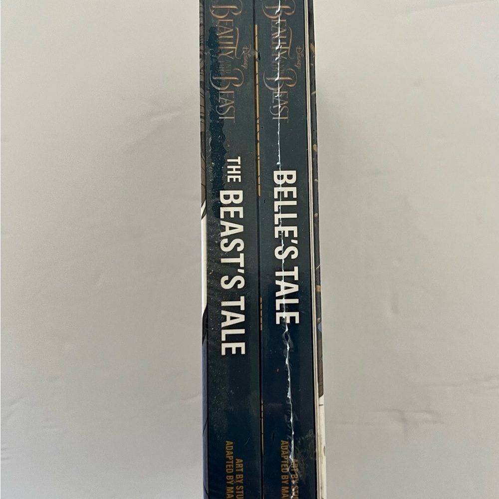 Beauty and the Beast Limited Edition 2-Book Set | Belle’s Tales & Beast’s Tales - Picture 4 of 4